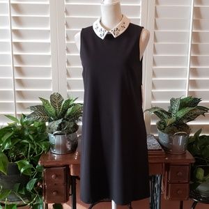 Ivanka Trump | Black & White Collared Dress